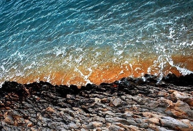 INTERNATIONAL FILM CONVENTION IN SPLIT