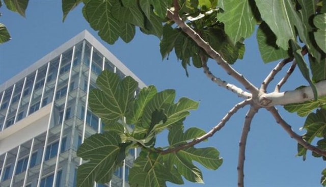 Predavanja i radionice "EU fondovi za početnike" 11. i 12.1.2017. u 18h