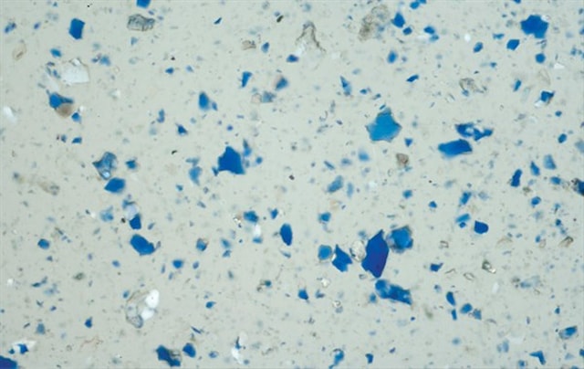 Predavanje Anne Košar (Njemačka) o identifikaciji mineralnih pigmenata primjenom polarizacijskog mikroskopa