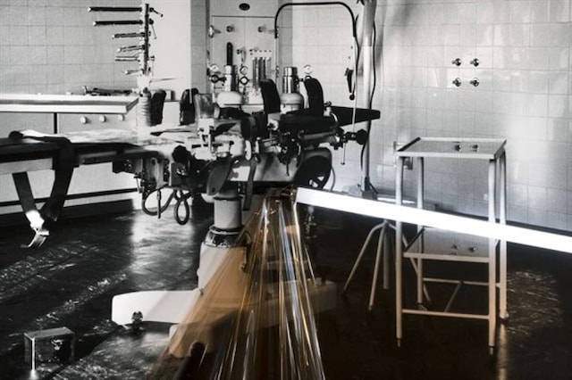 Izložba Viktora Popovića