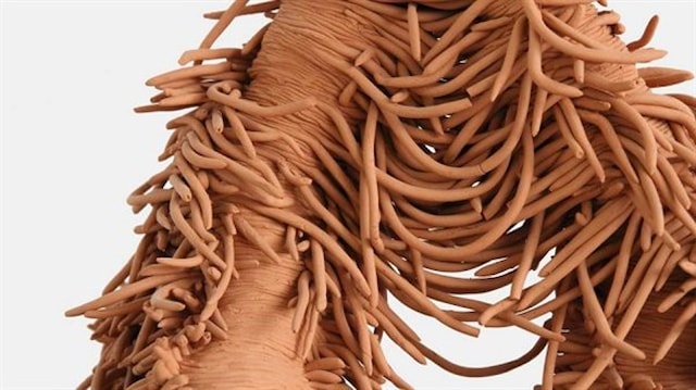 Izložba Antee Biskupović