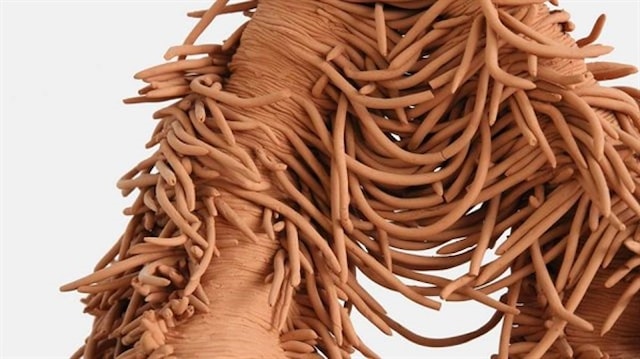 Izložba Antee Biskupović