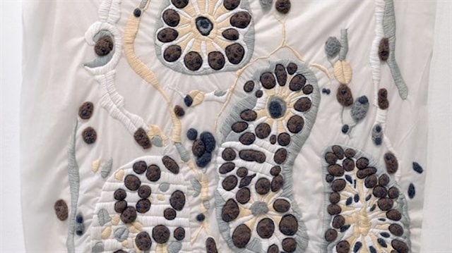 Izložba diplomskih radova Odsjeka za slikarstvo Umjetničke akademije u Splitu