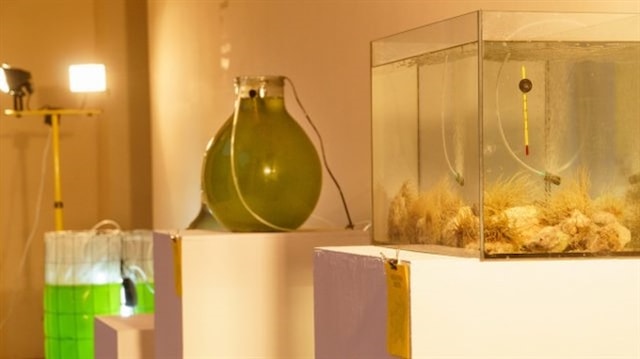 Život nakon turizma - Predavanje o klimatskim promjenama i radionica o marikulturi /// Galerija umjetnina