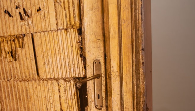 Međunarodni studentski biennale