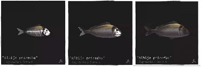 Predstava "Riblje priredbe"