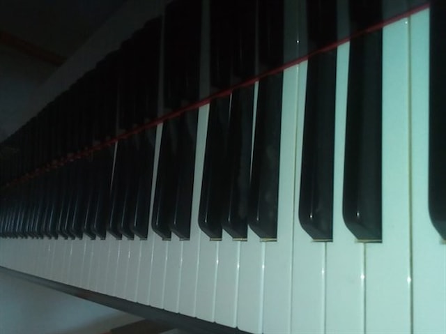 Koncert studenata klavira