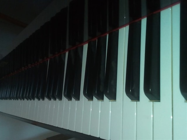 Koncert studenata klavira