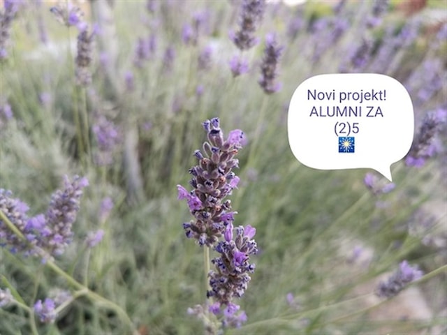 Alumni klub Glazbenog odjela pokreće projekt prikupljanja (privatnih) fotografija iz studentskih dana