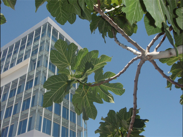 Rektorova nagrada za za 2022./2023. i 2023./2024.