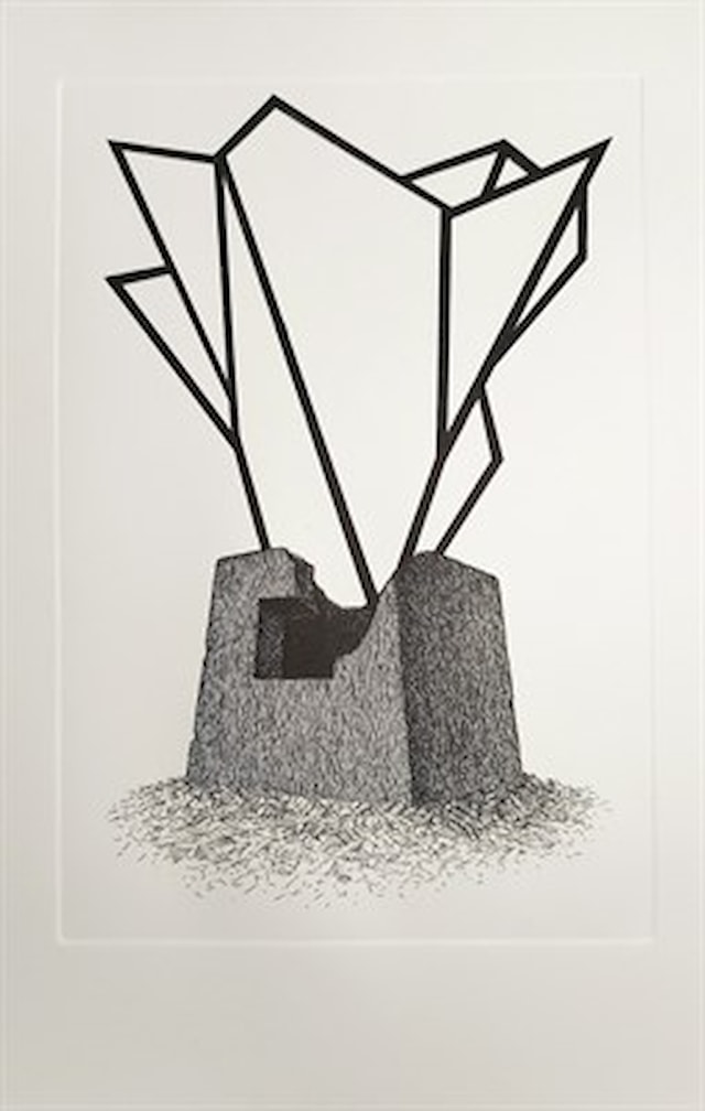 Nagrada Edvinu Dragičeviću