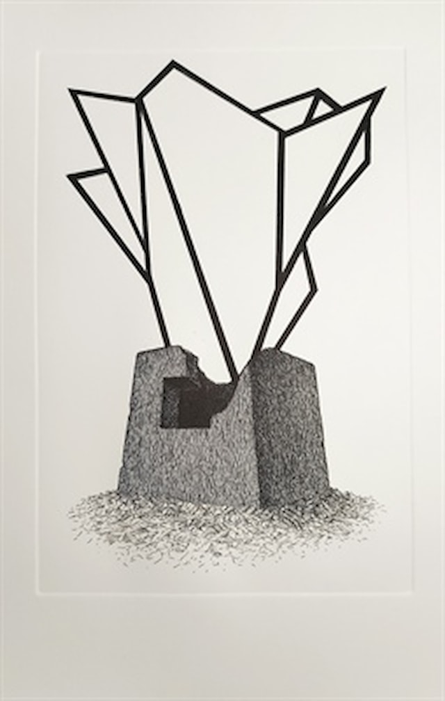 Nagrada Edvinu Dragičeviću