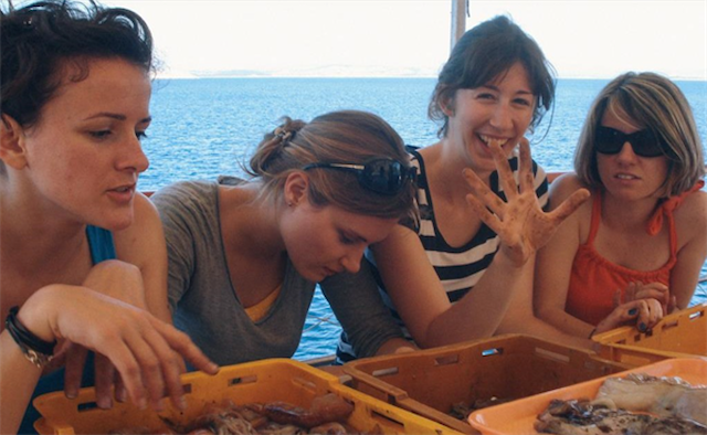 Poziv za dostavu prijedloga novih predmeta ljetne škole