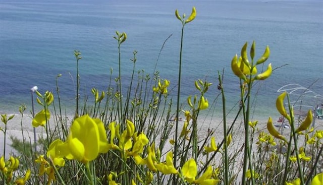 27.03. / Javna tribina Istraživanje i eksploatacija nafte i plina u Jadranu