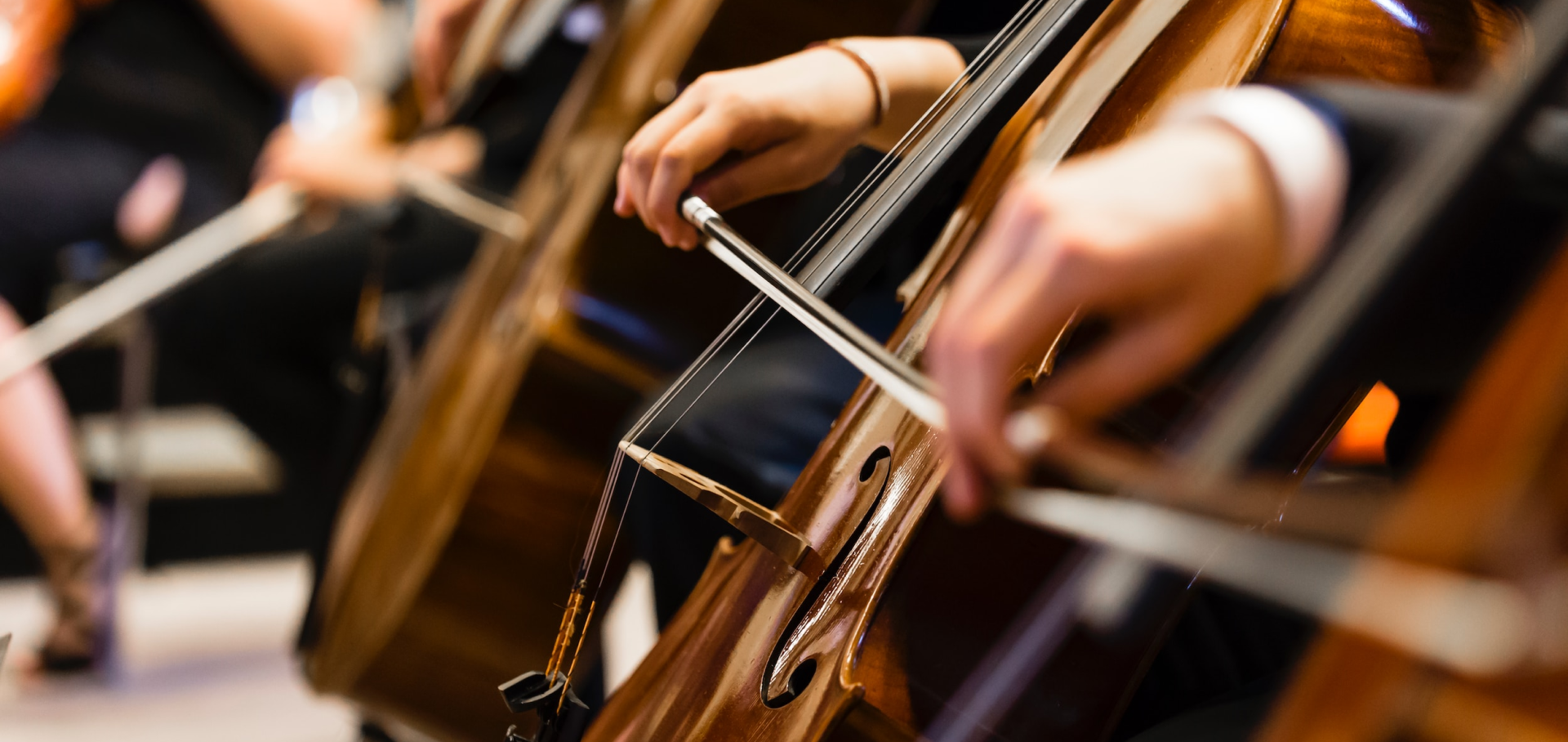 Umjetnička akademija u Splitu > Glazbeni odjel