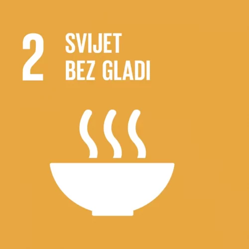 Svijet bez gladi