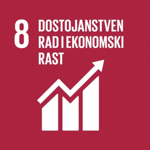 Dostojanstven rad i ekonomski rast